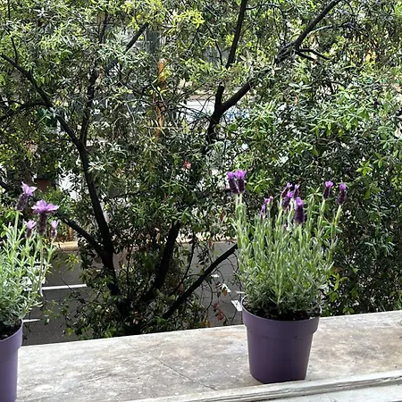 Διαμέρισμα 2 Steps From The Sea Near The Negresco *